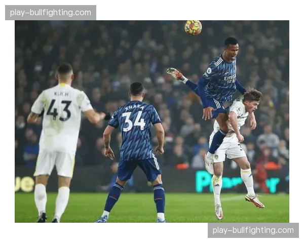 利兹联逼抢强度冠绝联赛 场均跑动数据位列英超榜首